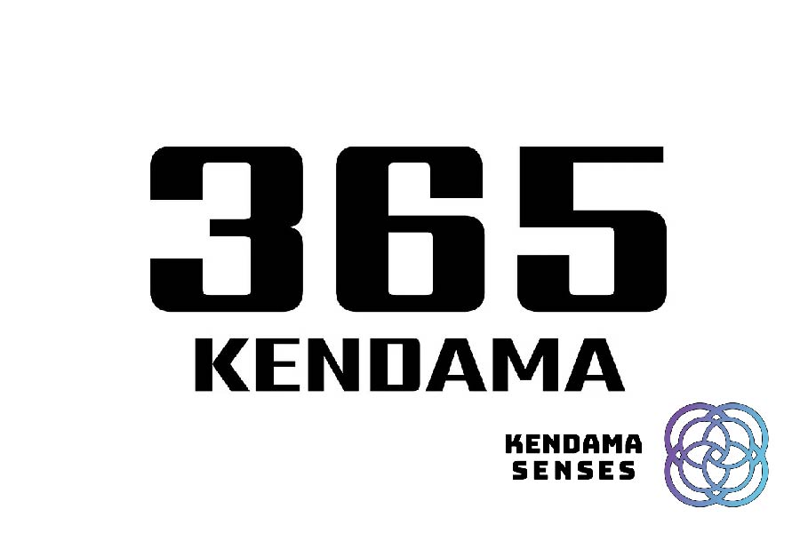 Shop 365Kendama Collection at Kendama Senses